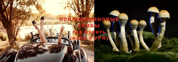таблы Алексин