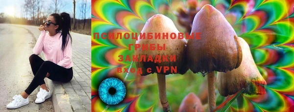 гашик Алзамай