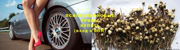 гашик Алзамай